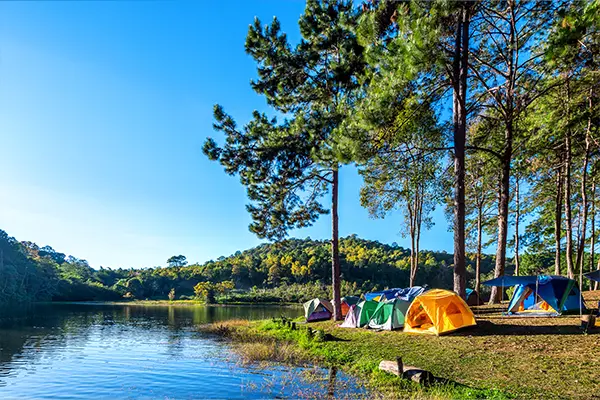 De nouvelles activités cette année au camping Camping Flamingo